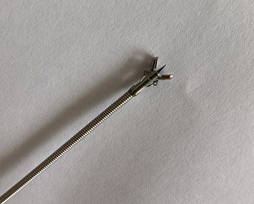 一次性使用活体取样钳